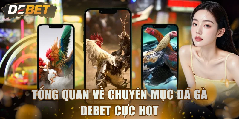 Tổng quan về chuyên mục đá gà DEBET cực hot