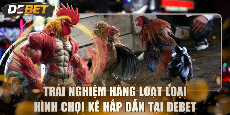 Trải nghiệm hàng loạt loại hình chọi kê hấp dẫn tại DEBET