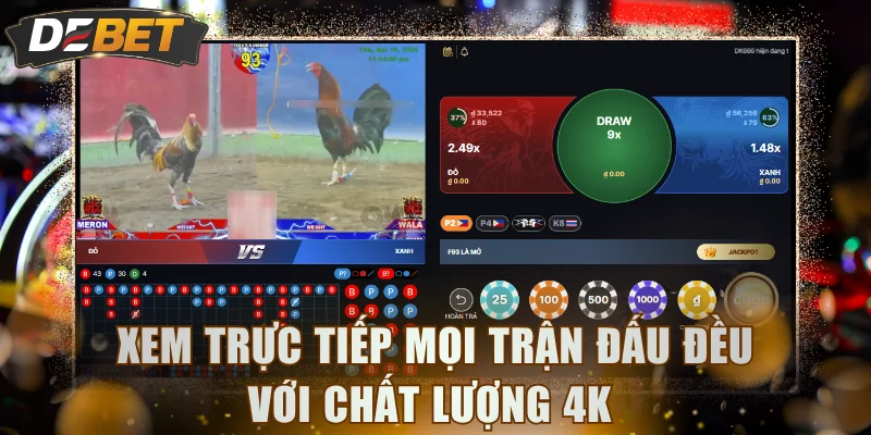 Xem trực tiếp mọi trận đấu đều với chất lượng 4K 